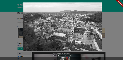 vue图片预览组件v-viewer（适用于vue2和vue3）