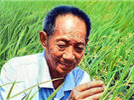 中国农学家<a target="_blank" href="https://baike.baidu.com/item/%E8%A2%81%E9%9A%86%E5%B9%B3/43836">袁隆平</a>荣获中国第一个特等发明奖